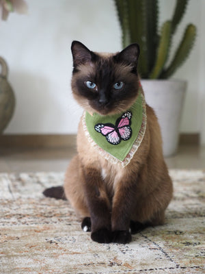 Dog Bandana * Cat Bandana * Blossoms & Butterflies