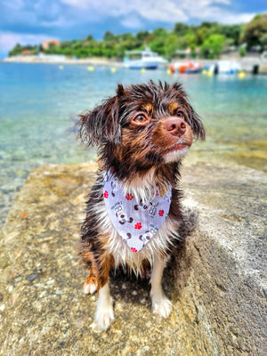 Dog Bandana * I woof you!