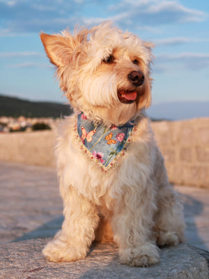 Dog Bandana * Cat Bandana * Blossoms & Butterflies