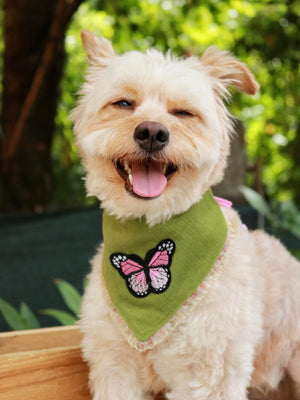 Dog Bandana * Cat Bandana * Blossoms & Butterflies