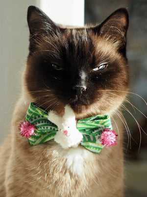 Ostern * Hunde Schleife * Katzen Schleife * Osterhase * grün * pink * Somebunny to love