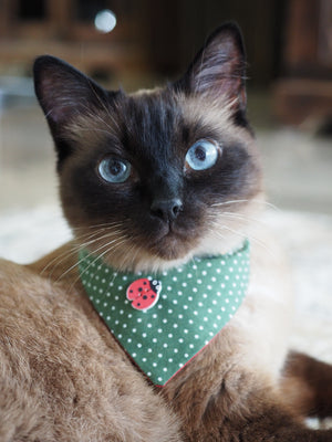 Dog Bandana * Cat Bandana * Ladybug