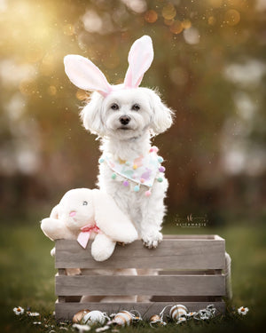 Easter * Dog Bandana * Cat Bandana * Bunny * Too hip to hop