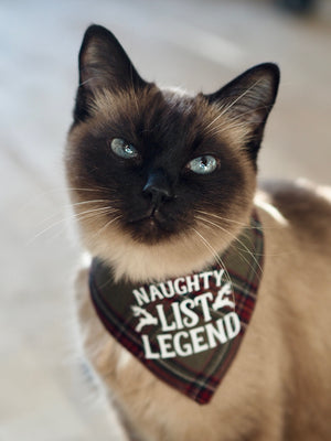 Christmas * Dog Bandana * Cat Bandana * checked * green * lettering * Up to snow good