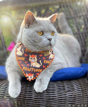 Autumn * Cat Bandana * Leaves * orange * brown * Pawtumn Vibes