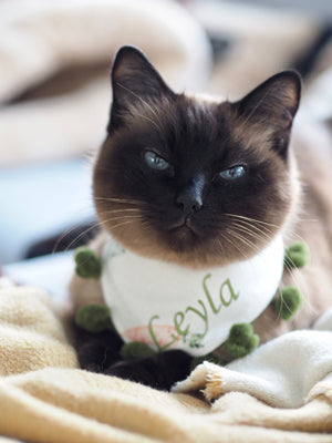 Easter * Dog Bandana * Cat Bandana * personalized * Call me Carrot