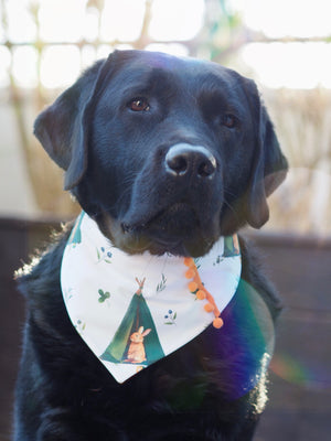 Easter * Dog Bandana * Cat Bandana * Bunny * Tent * Hoppy adventuring!