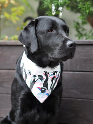 Winter * Dog Bandana * Cat Bandana * Penguin * Cord * Antarctica