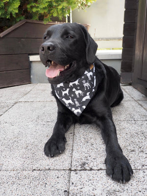 Dog Bandana * The bark side of life