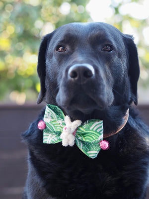 Easter * Dog Bow * Cat Bow * Easter bunny * green * pink * Somebunny to love