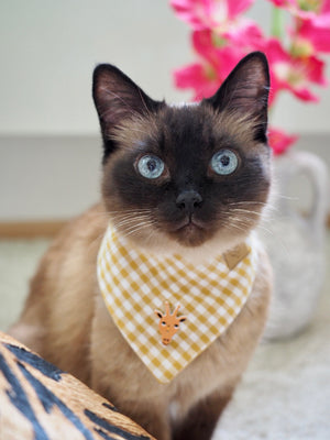 Dog Bandana * Cat Bandana * Wild Sahara