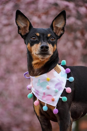 Easter * Dog Bandana * Cat Bandana * Bunny * Too hip to hop