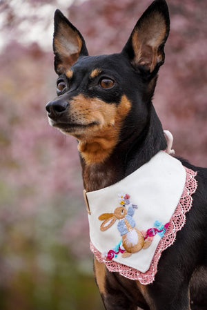 Easter * Dog Bandana * Cat Bandana * Flowers* No bunny but you