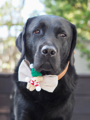 Christmas * Dog Bow * Cat Bow * Teddy Bear * Hat * Scarf * Cord * red * green * The snuggle is real!