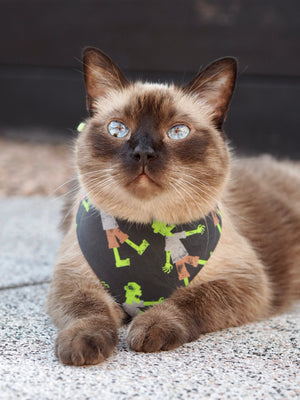 Halloween * Dog Bandana * Cat Bandana * neon * Zombies * green * black * Don't mess with the dead!