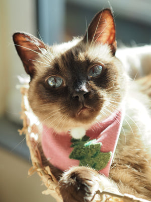 Christmas * Dog Bandana * Cat Bandana * Fir tree * Cord * rosa * green * One, Two, Tree!