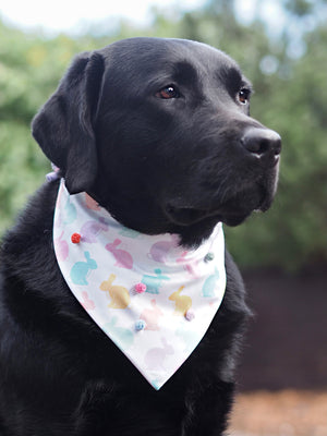 Easter * Dog Bandana * Cat Bandana * Bunny * Too hip to hop