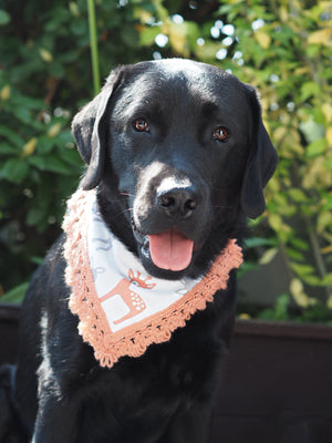 Autumn * Dog Bandana * Cat Bandana * brown * Deer Autumn