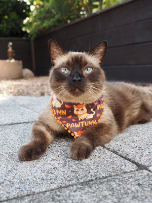 Autumn * Cat Bandana * Leaves * orange * brown * Pawtumn Vibes