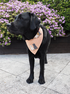 Dog Bandana * Labradorable