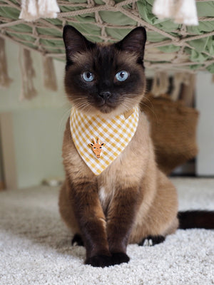 Dog Bandana * Cat Bandana * Wild Sahara