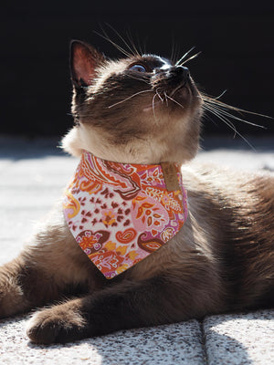 Dog Bandana * Cat Bandana * Paws in Paisley