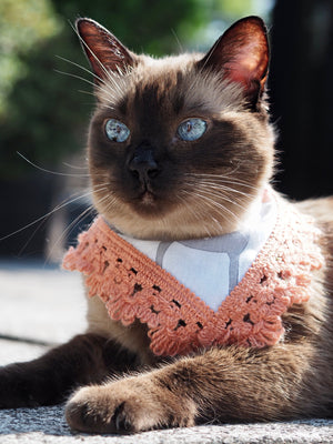 Autumn * Dog Bandana * Cat Bandana * brown * Deer Autumn