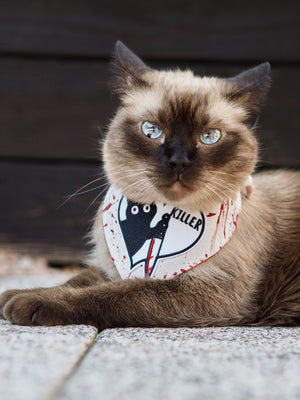 Halloween * Cat Bandana * Blood * red * Killer Cat