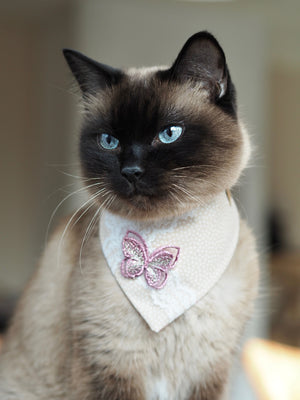 Dog Bandana * Cat Bandana * Wings of Love