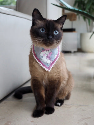 Dog Bandana * Cat Bandana * Be Unicorn