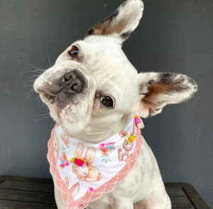 Easter * Dog Bandana * Cat Bandana * Flowers* No bunny but you