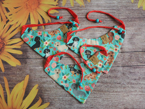 Dog Bandana * Dainty Doxie