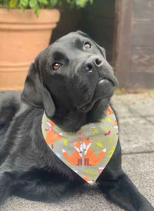 Autumn * Dog Bandana * Cat Bandana * green * Fox it up!