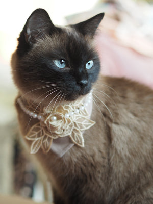 Dog Bandana * Cat Bandana * Lady Rose