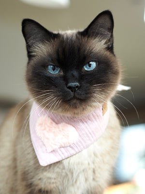 Dog Bandana * Cat Bandana * Floofin' adorable!