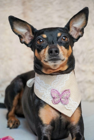 Dog Bandana * Cat Bandana * Wings of Love