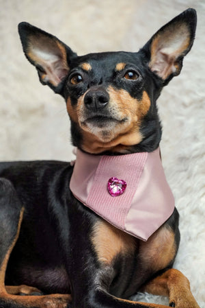 Dog Bandana * Cat Bandana * Sweet as Satin