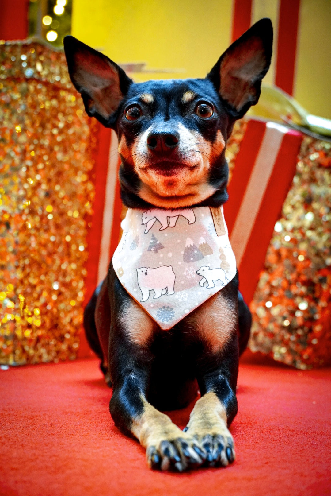 Winter * Dog Bandana * Cat Bandana * Polarbear * yellow * Glitter * Bear with me