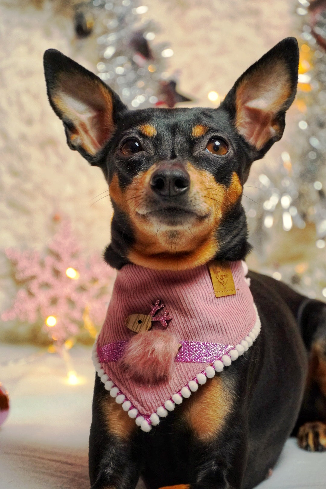 Dog Bandana * Cat Bandana * I love you deerly