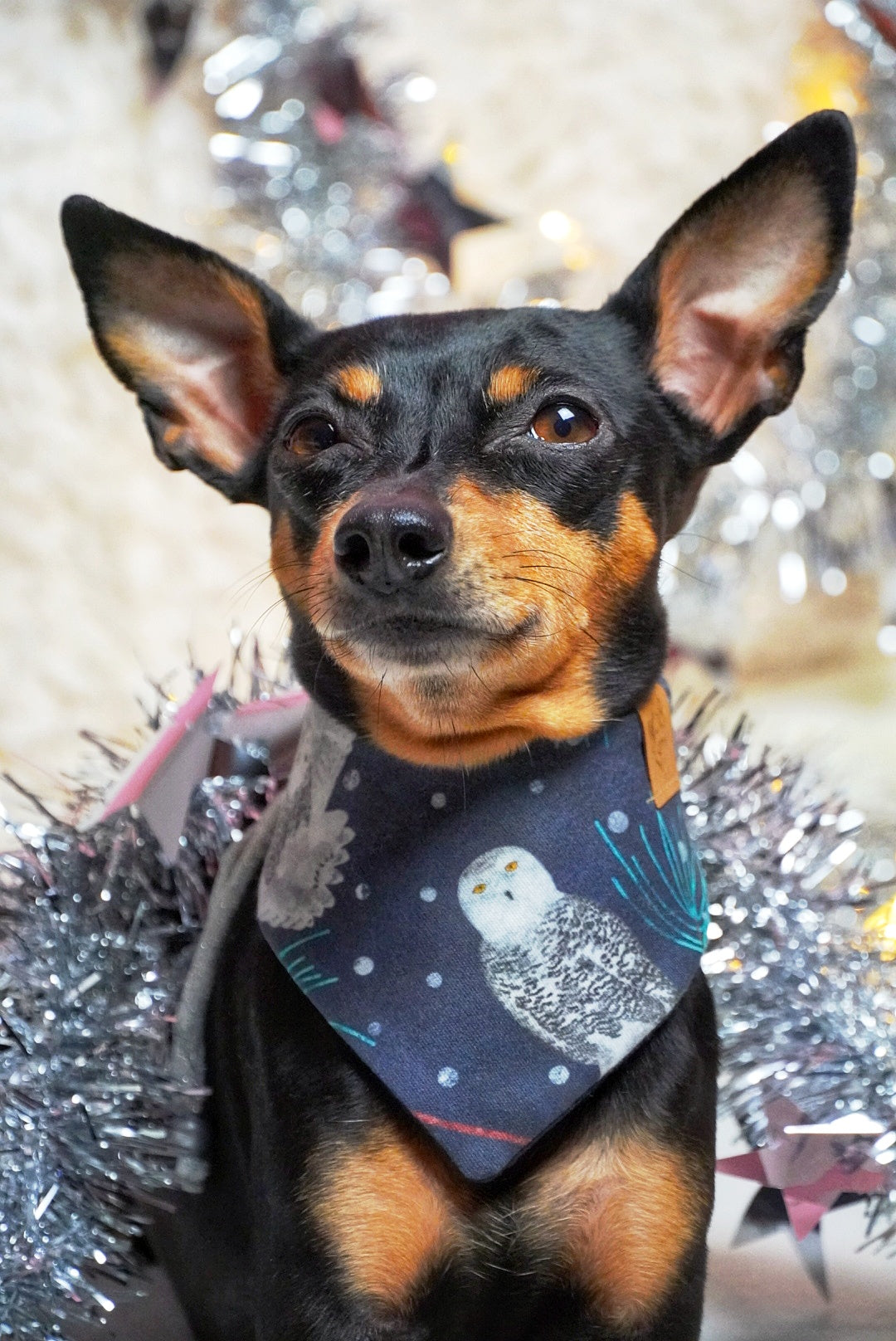 Winter * Dog Bandana * Cat Bandana * Snowy owl * blue * A winterful life