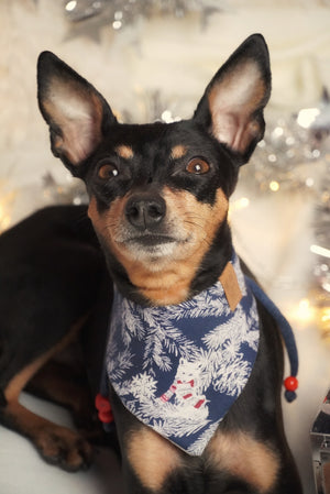 Winter * Dog Bandana * Cat Bandana * Racoon * Squirrel * Fox * blue * white * Winter Wonderland