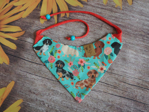 Dog Bandana * Dainty Doxie