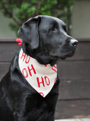 Christmas * Dog Bandana * Cat Bandana * checked * beige * red * Ho-ly moly!