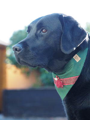 Christmas * Dog Bandana * Cat Bandana * Reindeer * checked * green * red * gold * Merry Fluffmas