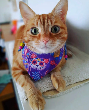 Halloween * Cat Bandana * skull * lila * Dia de los Meowtos