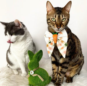 Easter * Dog Bow * Cat Bow * orange * I carrot take my eyes of you