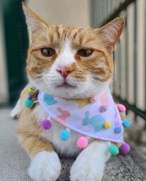 Easter * Dog Bandana * Cat Bandana * Bunny * Too hip to hop