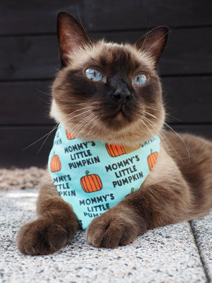 Halloween * Dog Bandana * Cat Bandana * Mommy's little Pumpkin