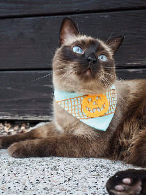 Halloween * Dog Bandana * Cat Bandana * Mommy's little Pumpkin