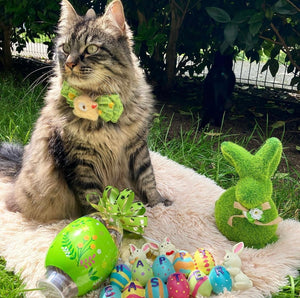 Easter * Dog Bow * Cat Bow * green * Chick me out!